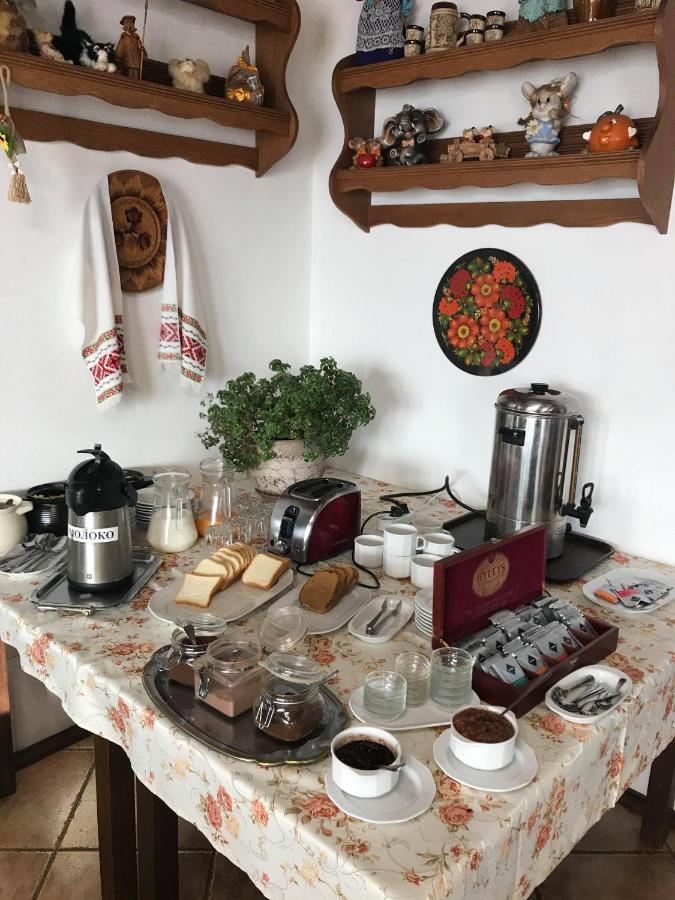 Hotel Alpenhof Pansion Slavske Esterno foto